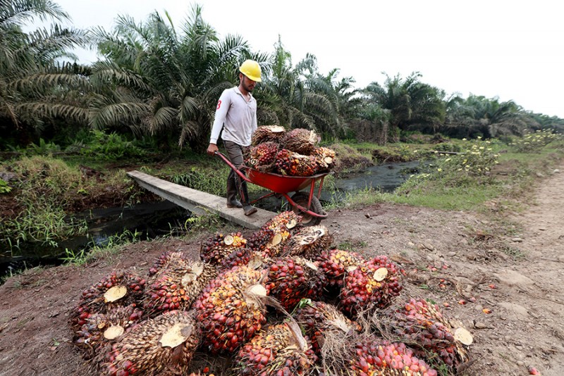 CSRA 9M20 Results: Stronger Prices, Improved Performance, Healthy Margins